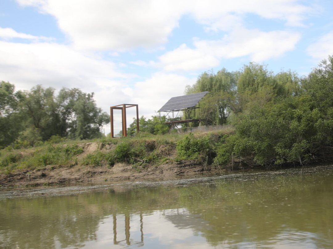 Caraorman Forest-Crisan必去景点