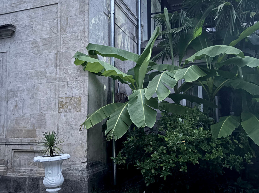 Kutaisi Botanical Garden-库塔伊西必去景点