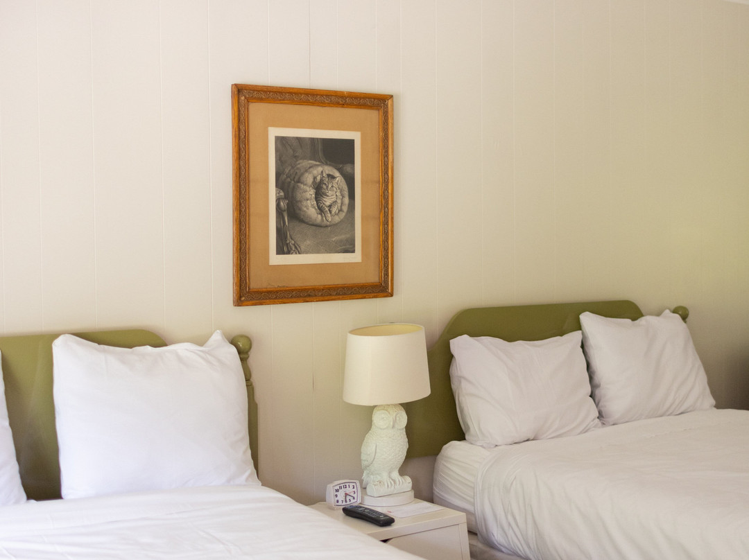 The Little Lion主图