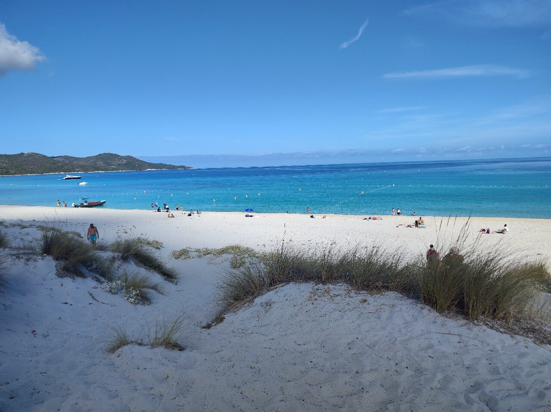 Plage de Saleccia-Santo-Pietro-di-Tenda必去景点