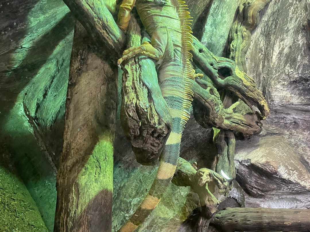 Zoo de Mescoules-Mescoules必去景点