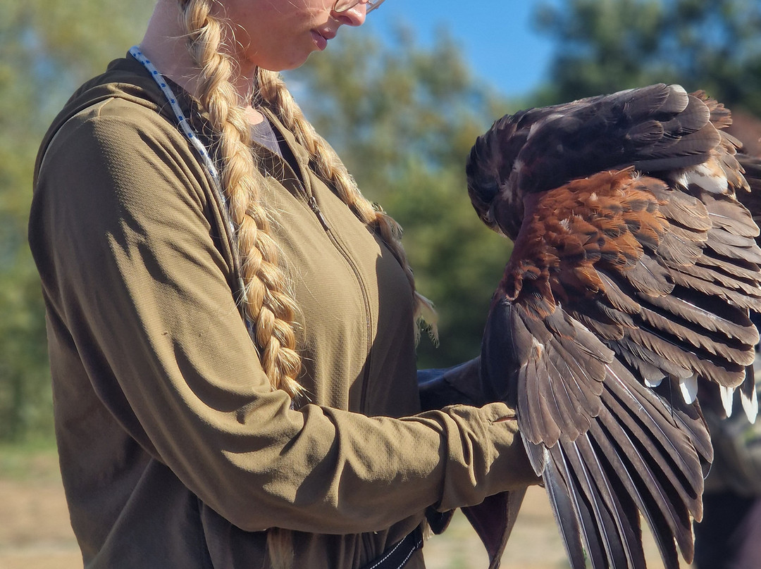 Raptor Foundation-Woodhurst必去景点