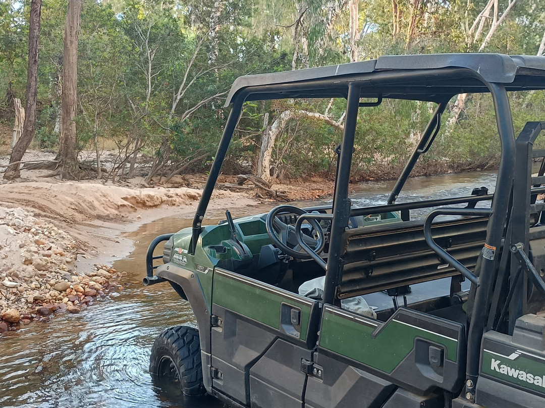 Jarramali Rock Art Tours-凯恩斯必去景点