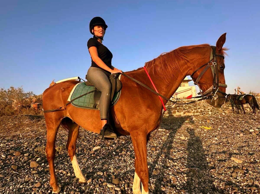 Efippos Horse Farm-维查德必去景点