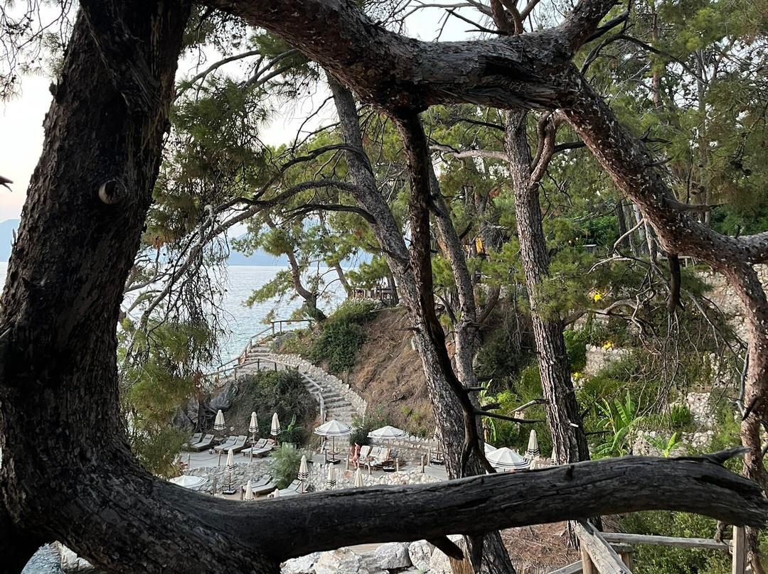Rups Beach Club Fethiye-蝴蝶谷必去景点