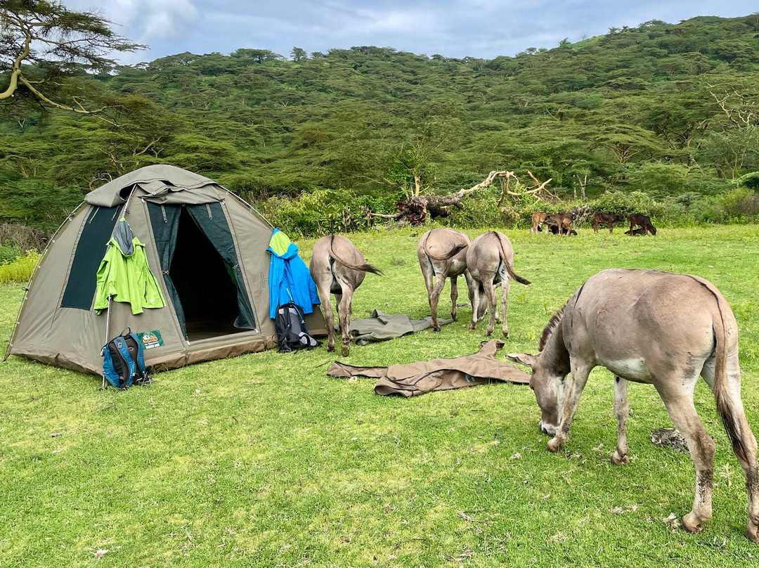 Utukufu Travels and Adventures-阿鲁沙必去景点