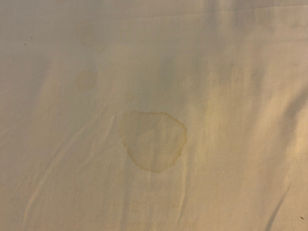 Super 8 by Wyndham Monticello主图