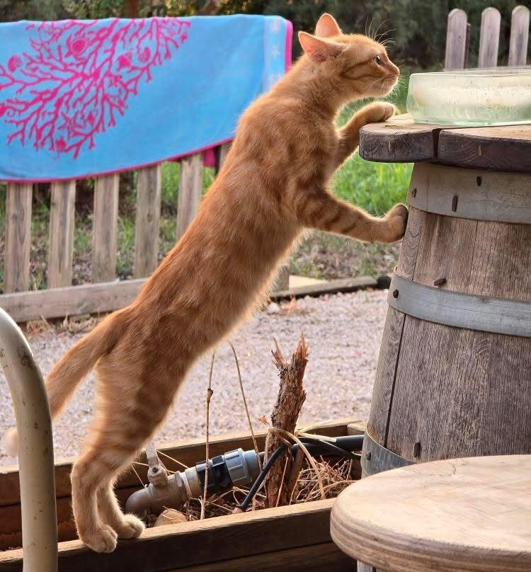 Azienda Agricola Bruno Rolli-Copertino必去景点