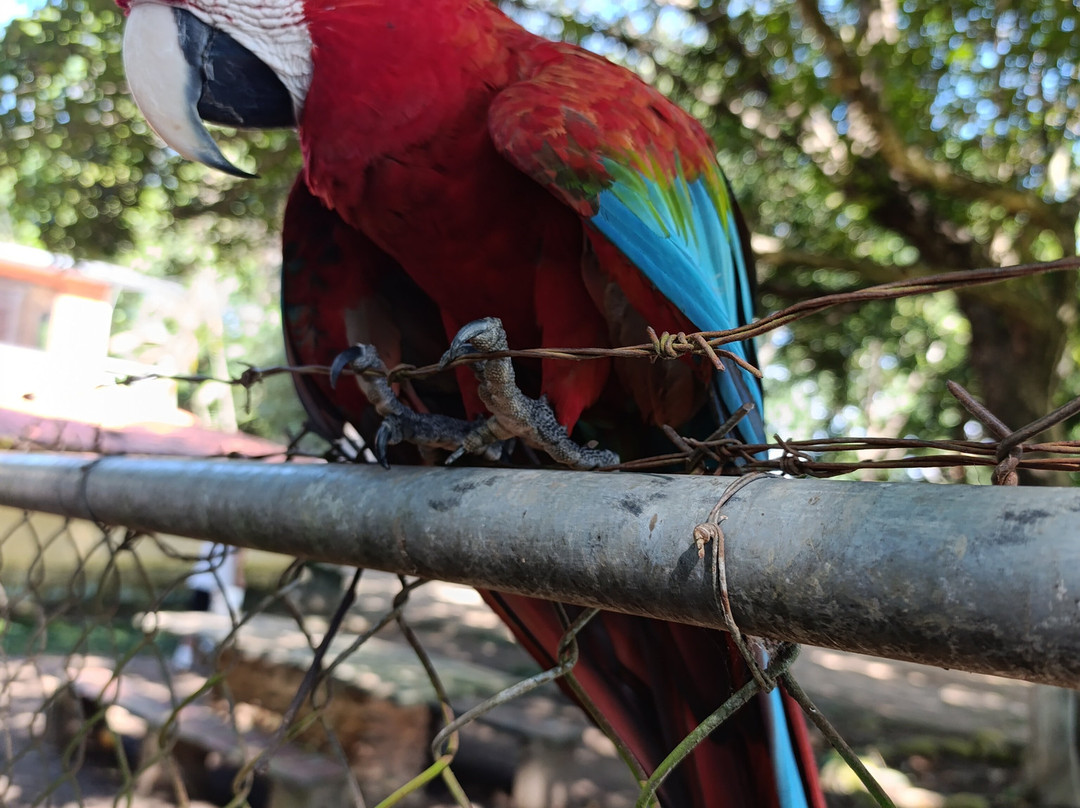 Posada Agroturistica Don Marcos主图