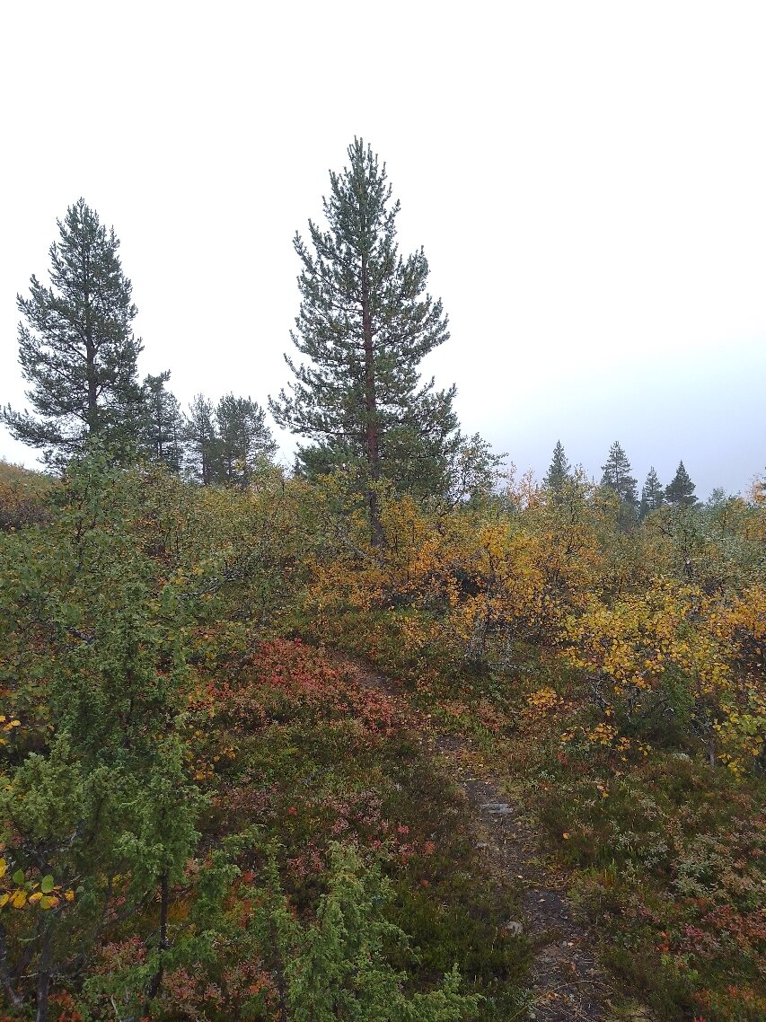 伊瓦洛奥罗拉村度假酒店-官方