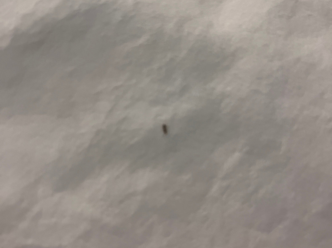 AmericInn by Wyndham Inver Grove Heights Minneapolis主图