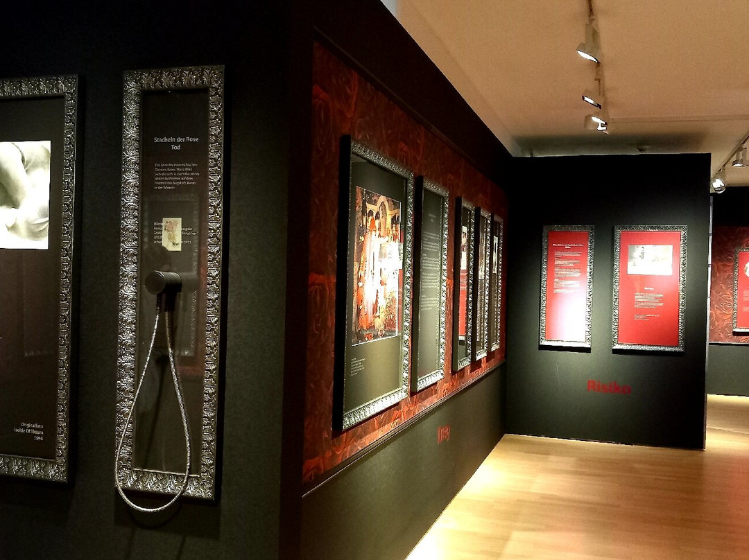 Rosenmuseum Steinfurth-Bad Nauheim必去景点
