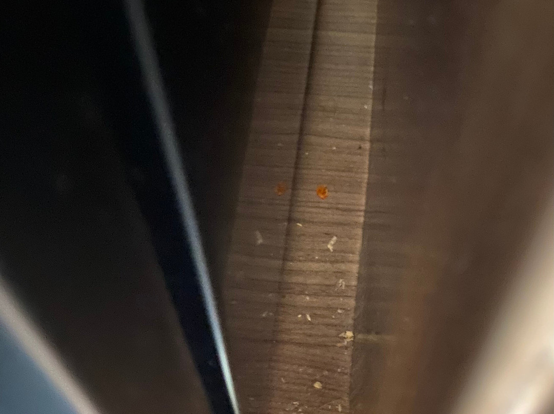 Best Western North Attleboro / Providence Beltway主图