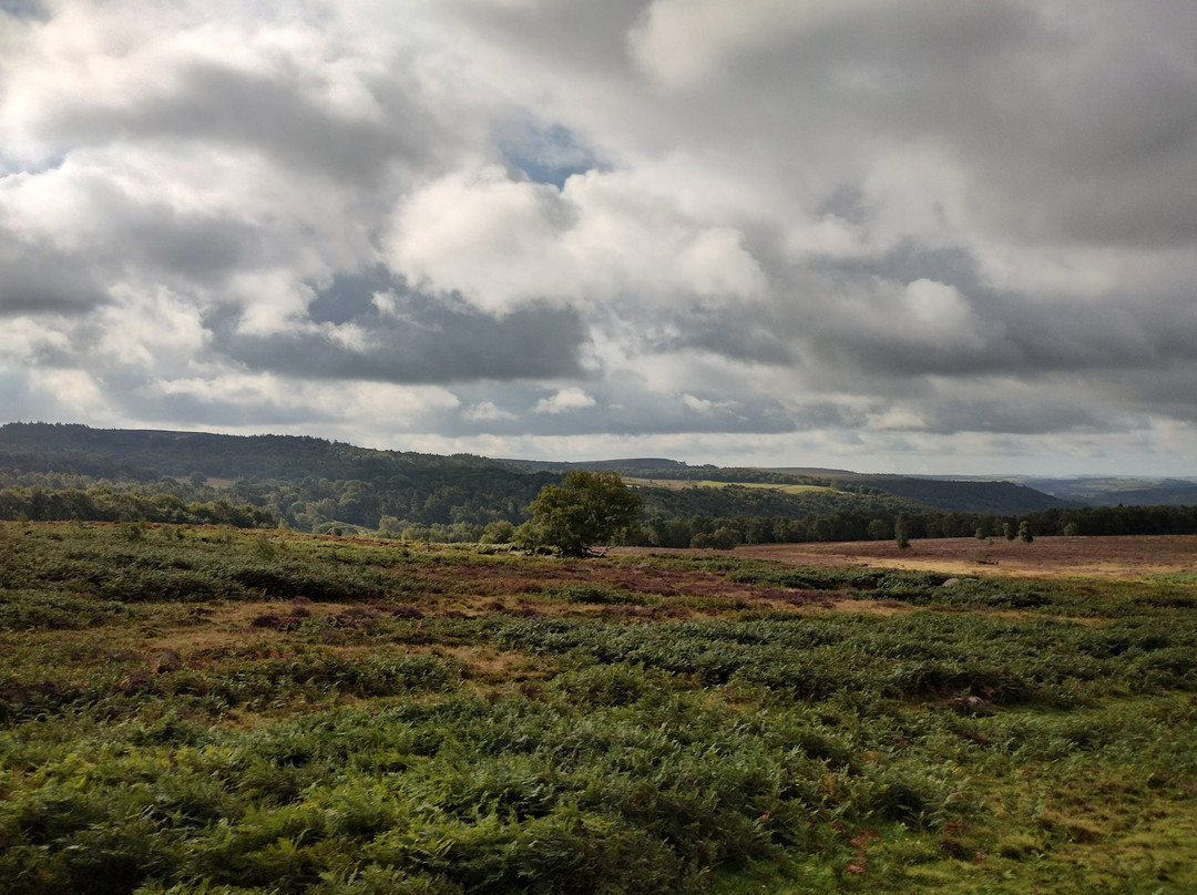 Peak Sightseer Open Top Bus Tour-Castleton必去景点