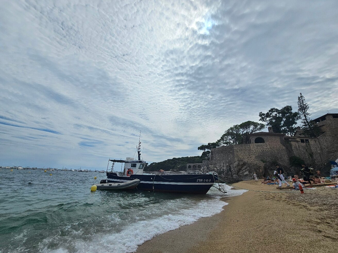 Hotel Calella de Palafrugell主图