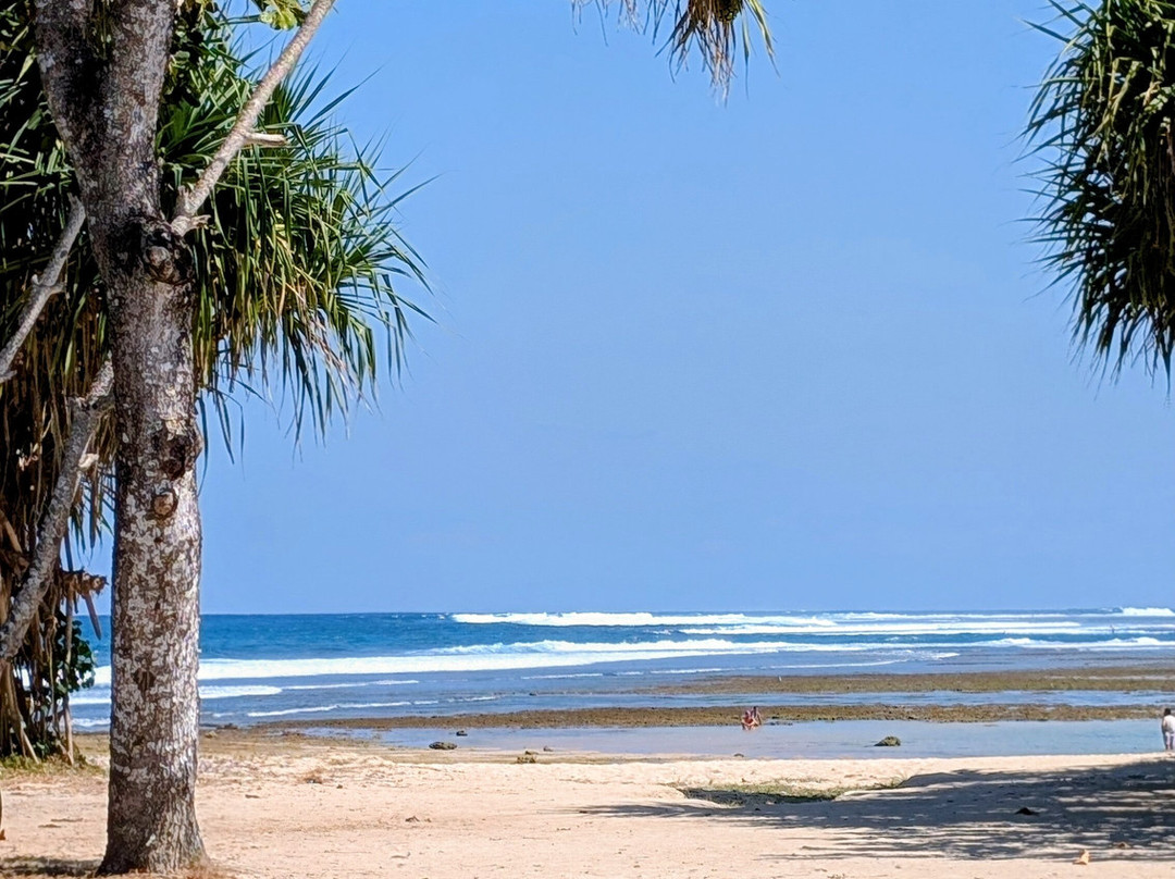 Reiseleiter Sugita-登巴萨必去景点