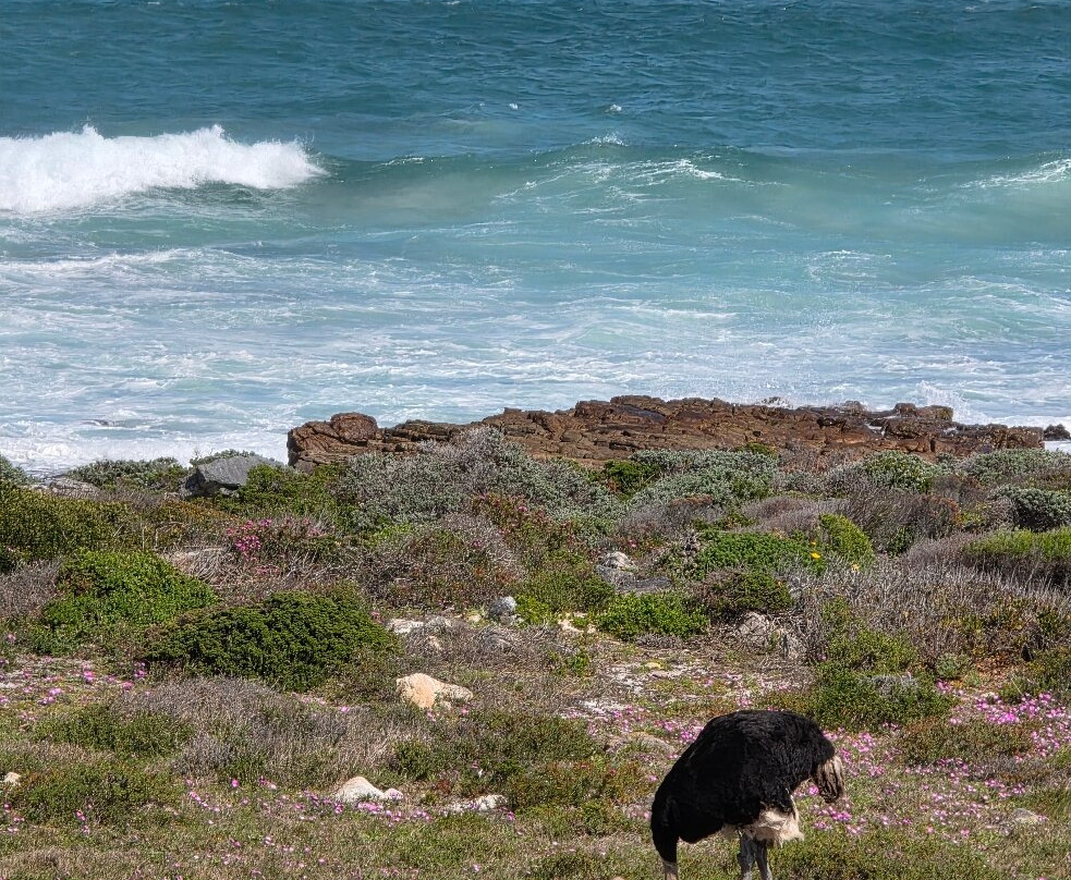 Earthstompers Adventures-开普敦中心区必去景点