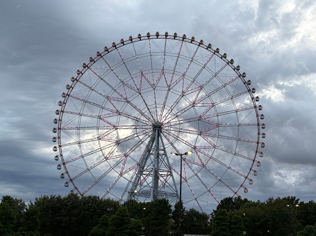Diamond and Flower Ferris Wheel-江戸川区必去景点