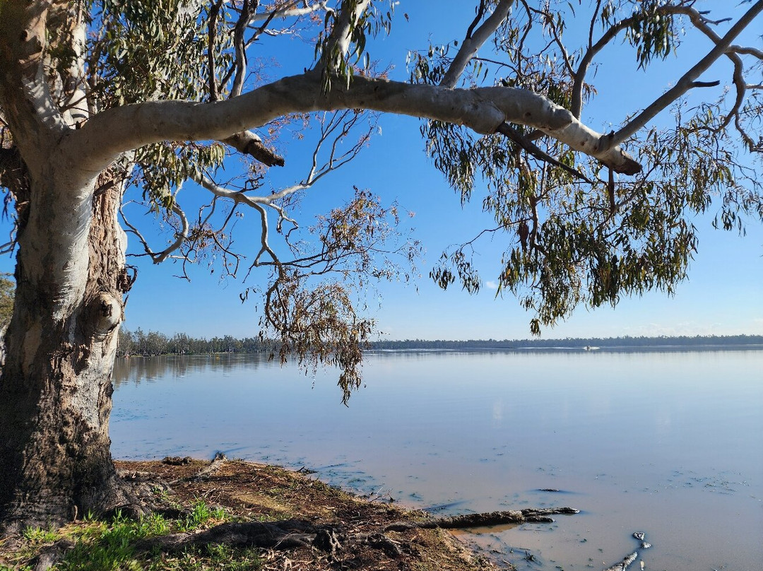 Lake Broadwater Conservation Park-多尔比必去景点