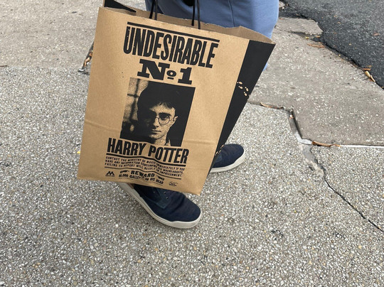 Harry Potter Shop Chicago-芝加哥必去景点