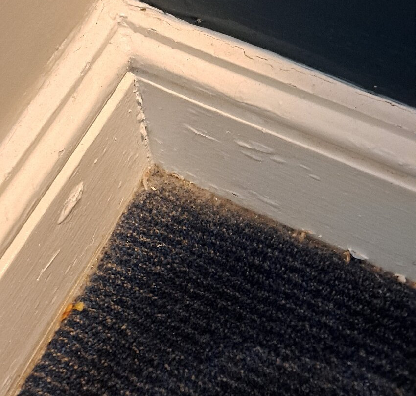 Travelodge Walton-on-thames主图