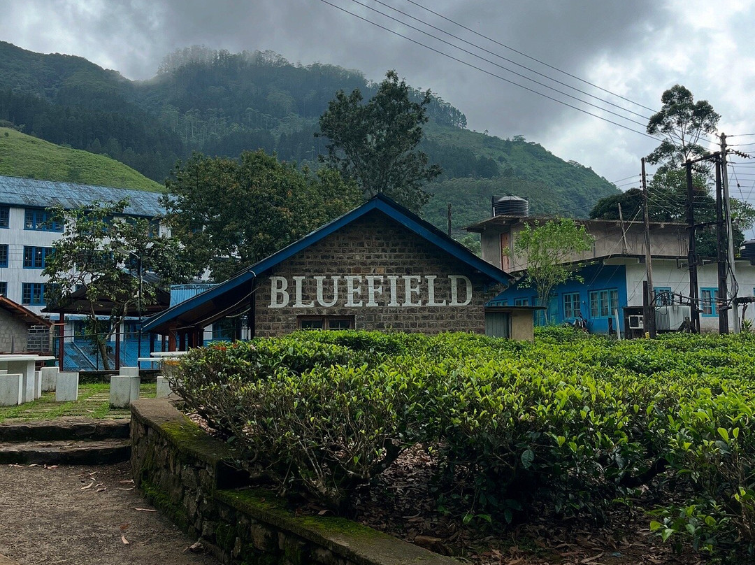 Monkey Tours Sri Lanka-加勒必去景点