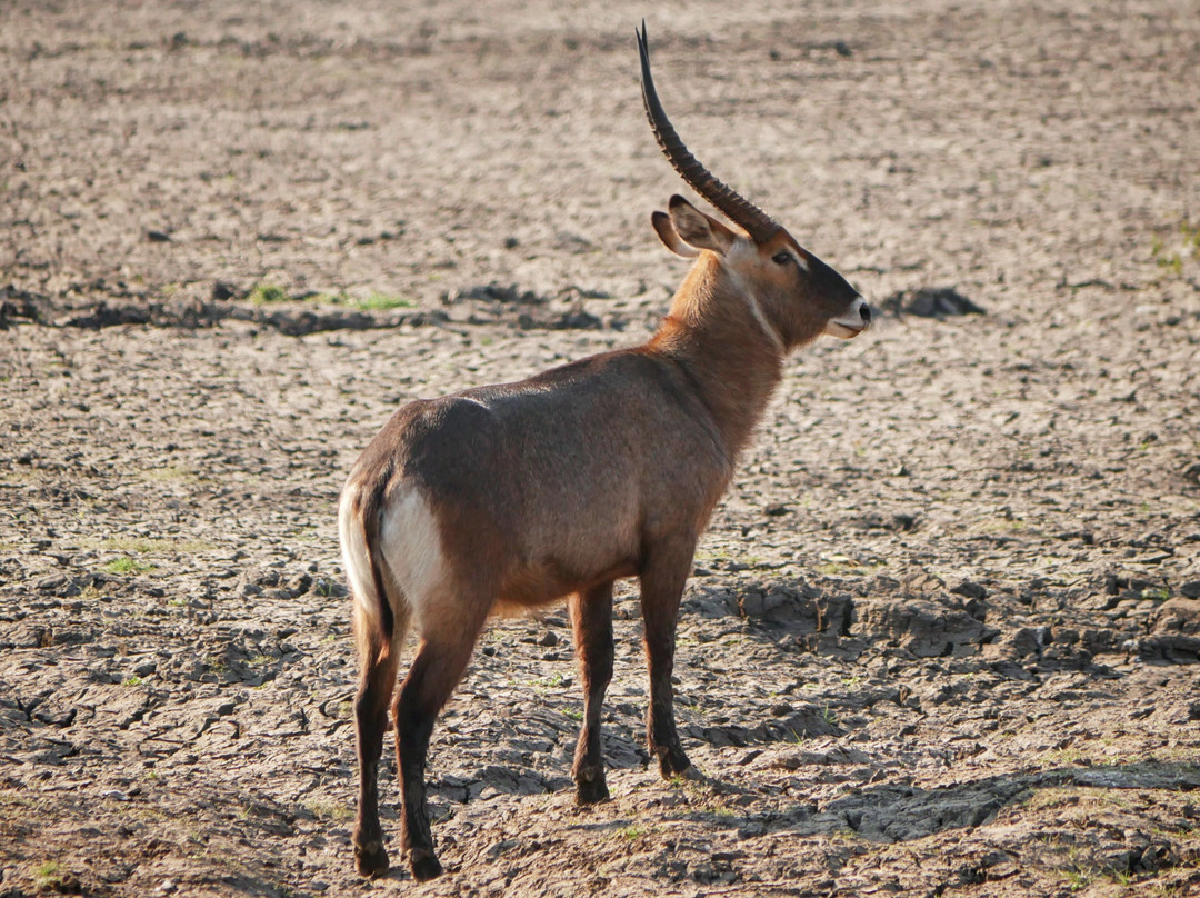 Nyika Discovery Ltd-阿鲁沙必去景点