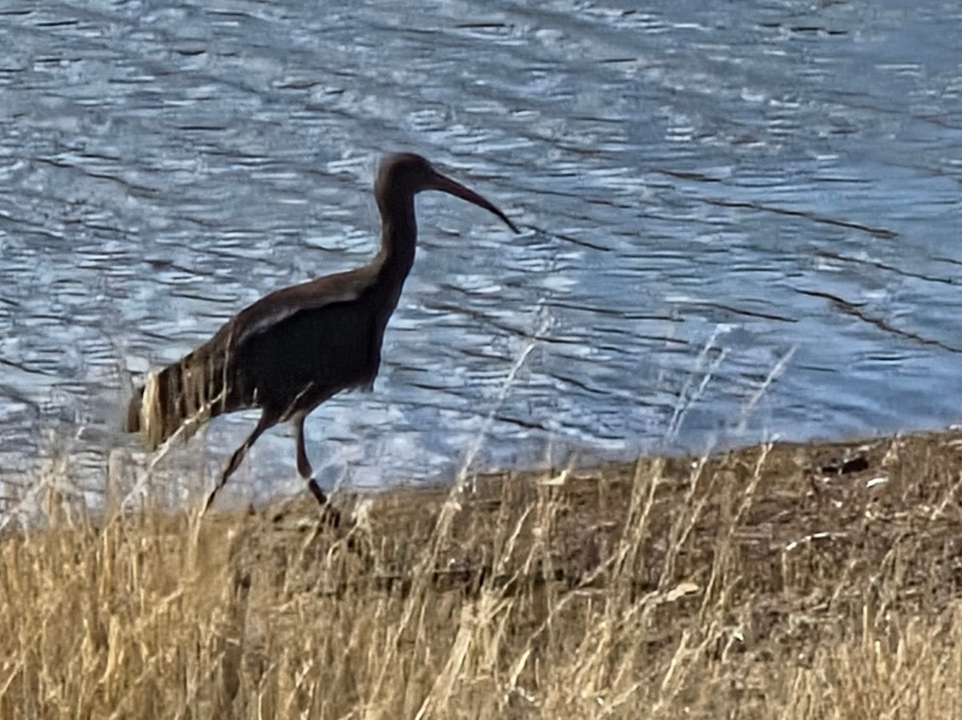 Peru Fly Fishing-阿雷基帕必去景点