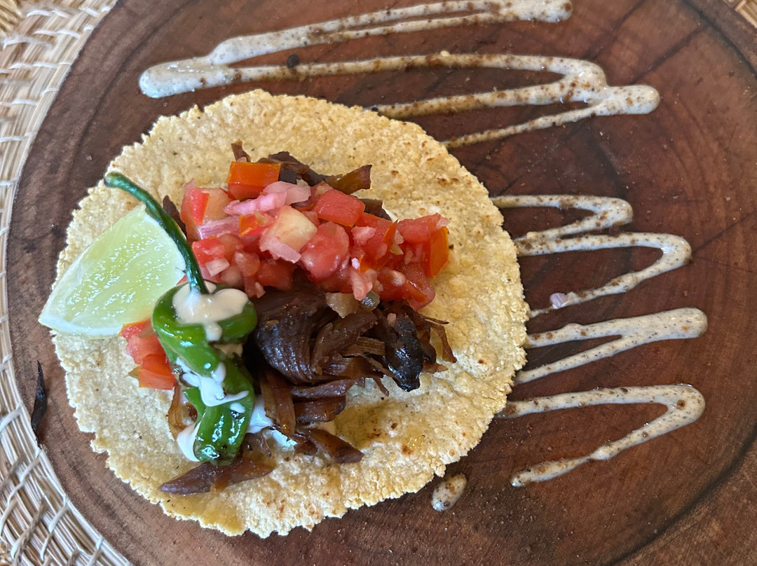 Stush in the Bush-St. Ann's Bay必去景点