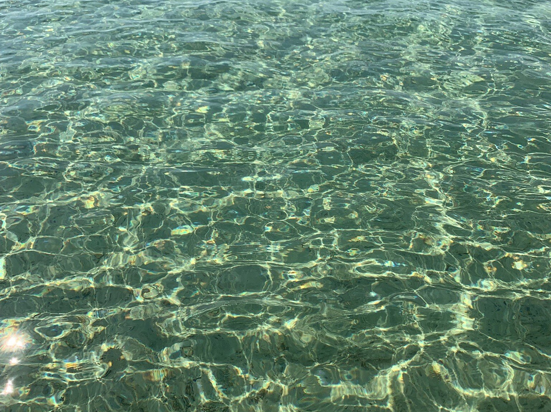 Karihe Zanzibar Tours-Matemwe必去景点