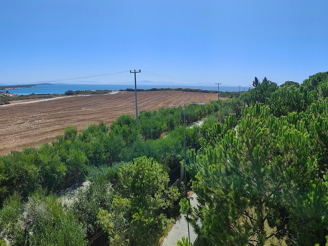 棕榈翼海滩度假酒店主图