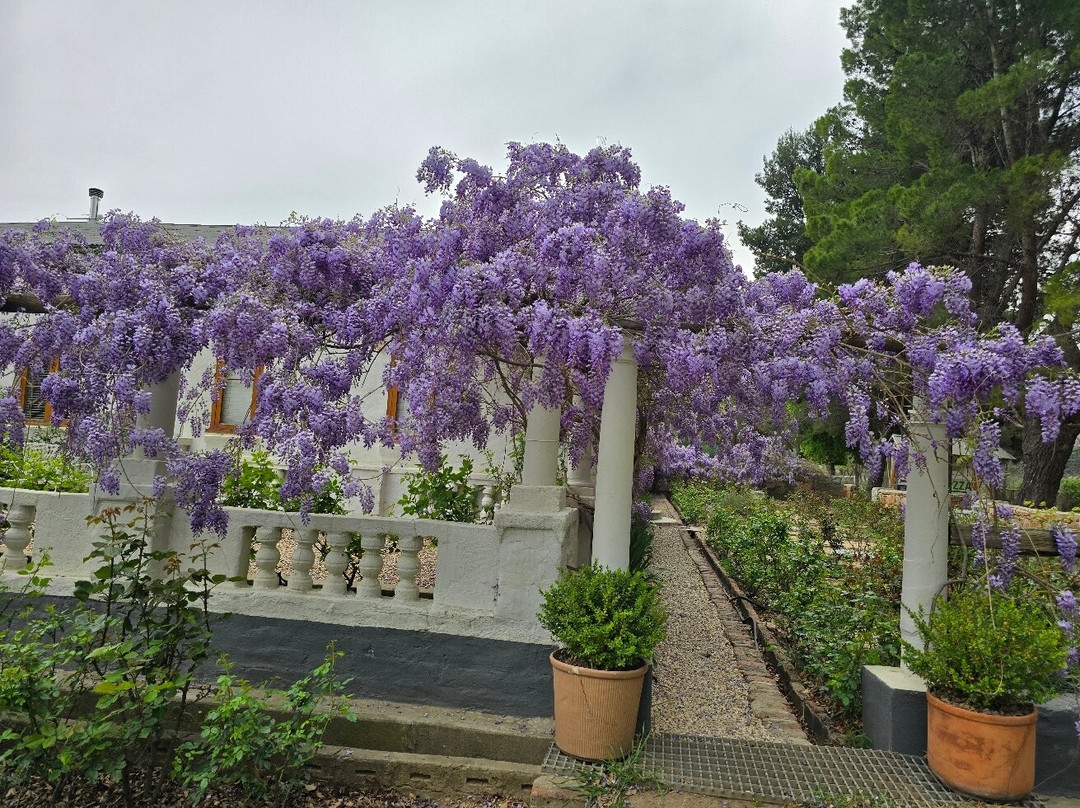 Nieu-Bethesda酒店住宿-The Bethesda