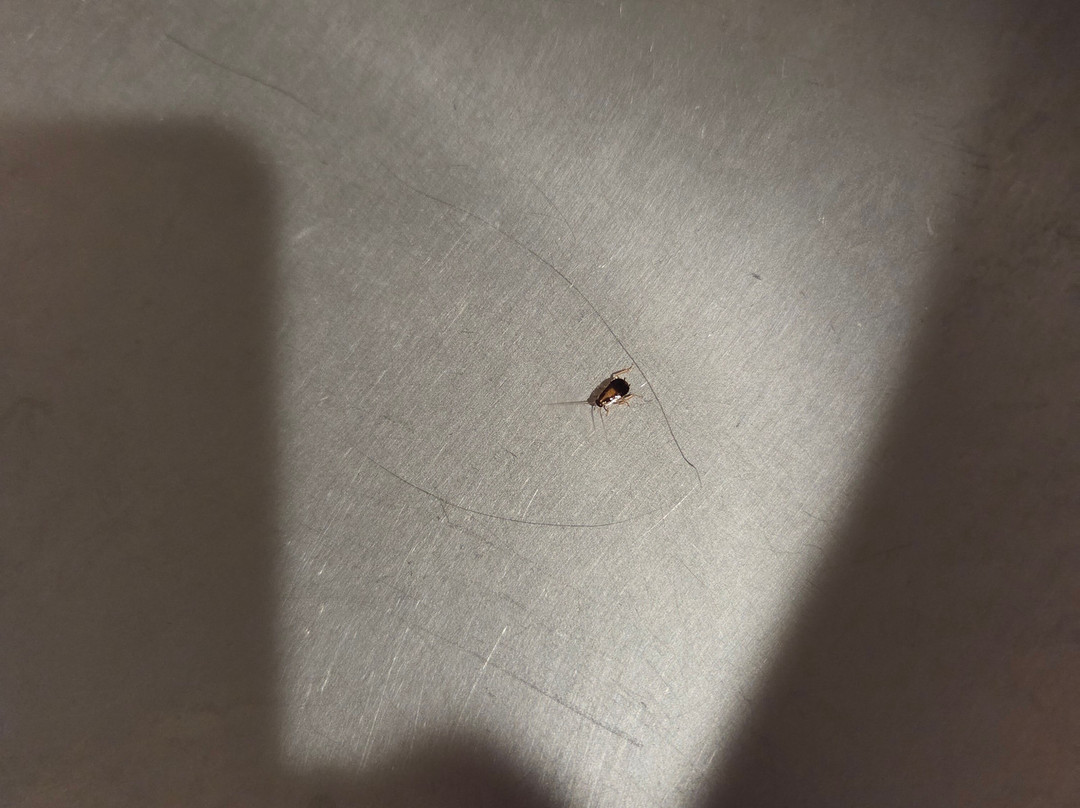 WoodSpring Suites Waco主图