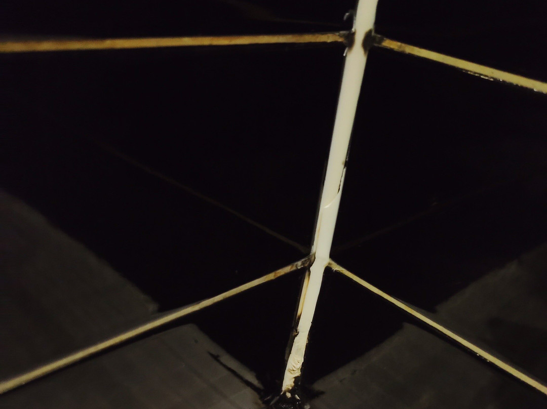 Holiday Inn Express Strasbourg - Sud By IHG主图