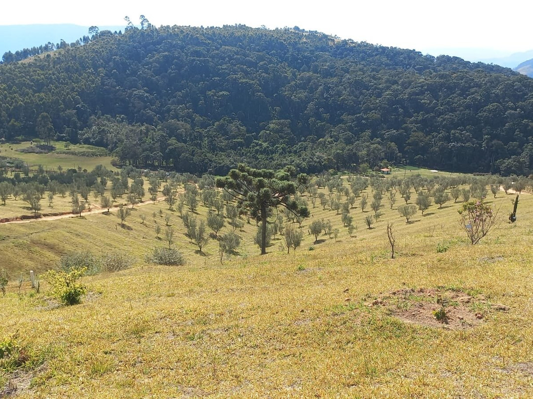 Magadu Olival-Maria da Fe必去景点