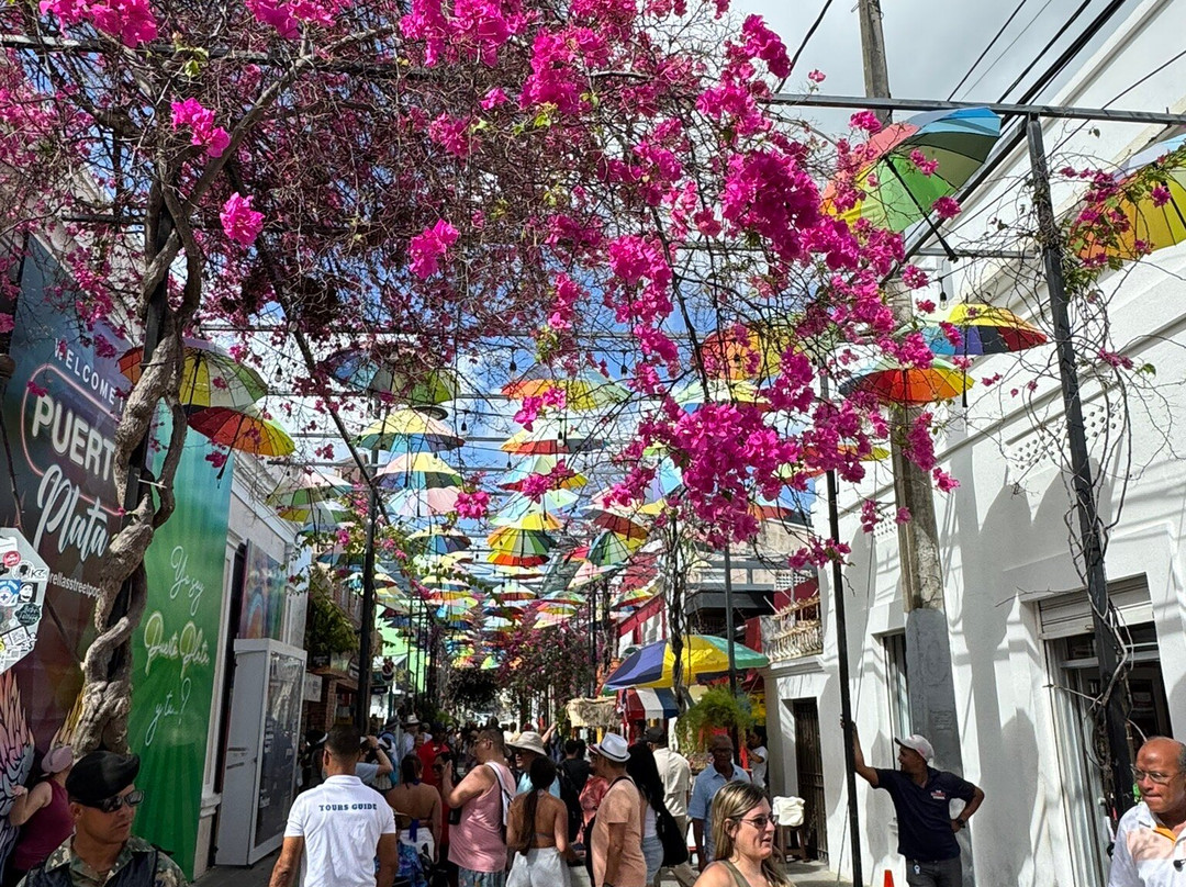 Umbrella Street-普拉塔港必去景点