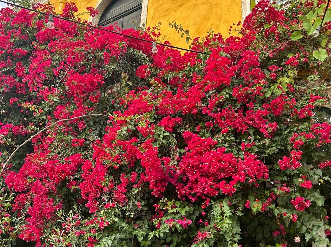 Quinta de Sant'Ana-Gradil必去景点