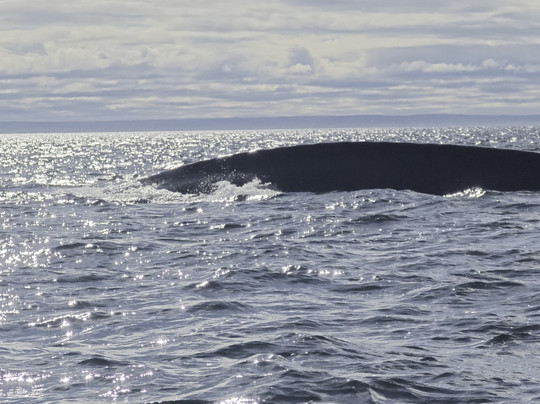Du Fleuve-Les Escoumins必去景点