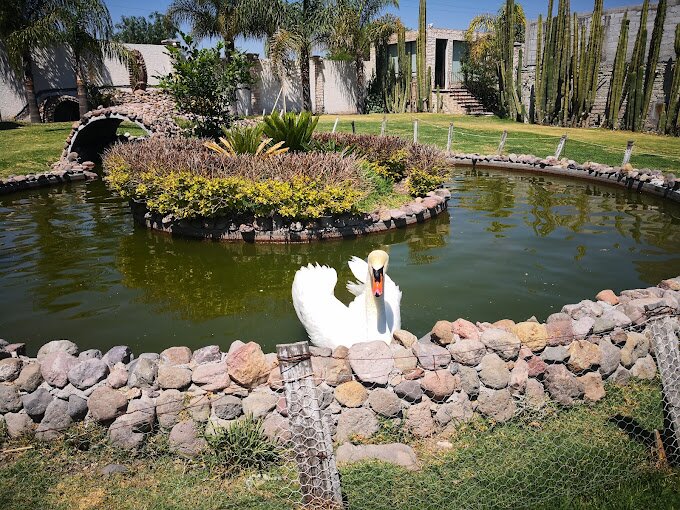 Hotel Boutique Casa Diamante-浴室