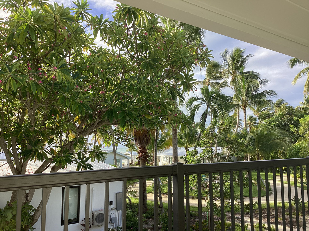 松树&棕榈树度假极度主图