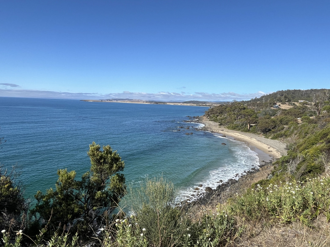 Spiky Beach Conservation Area-斯旺西必去景点