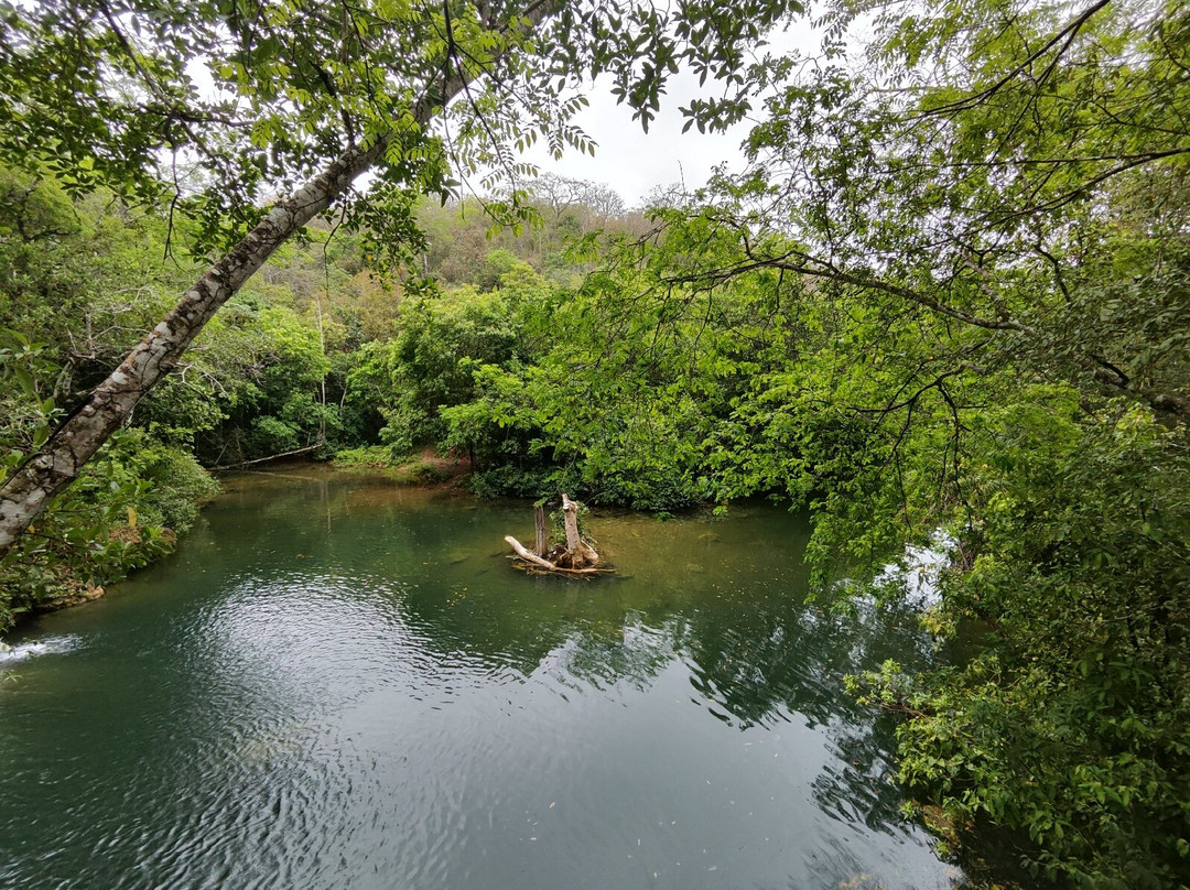 Parque das Cachoeiras-博尼图必去景点
