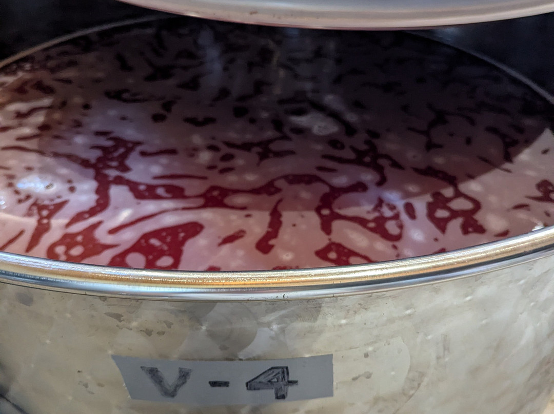 Perinet-La Morera de Montsant必去景点