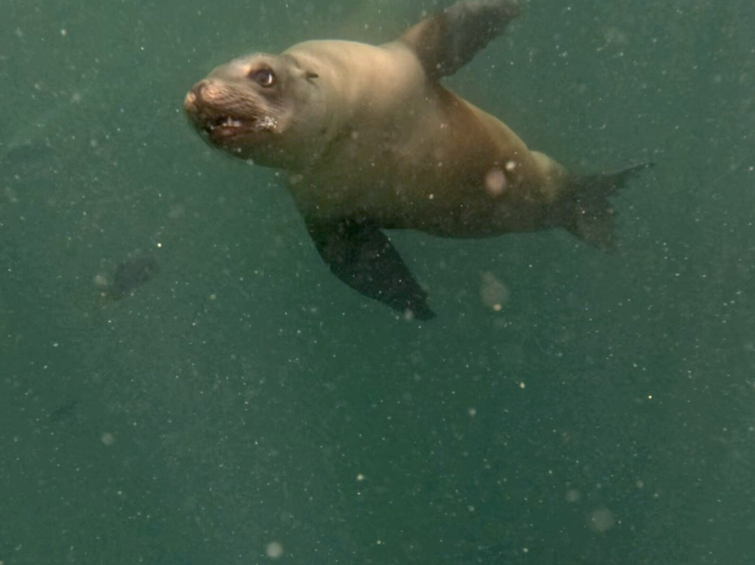 Monterey Expeditions-蒙特雷必去景点