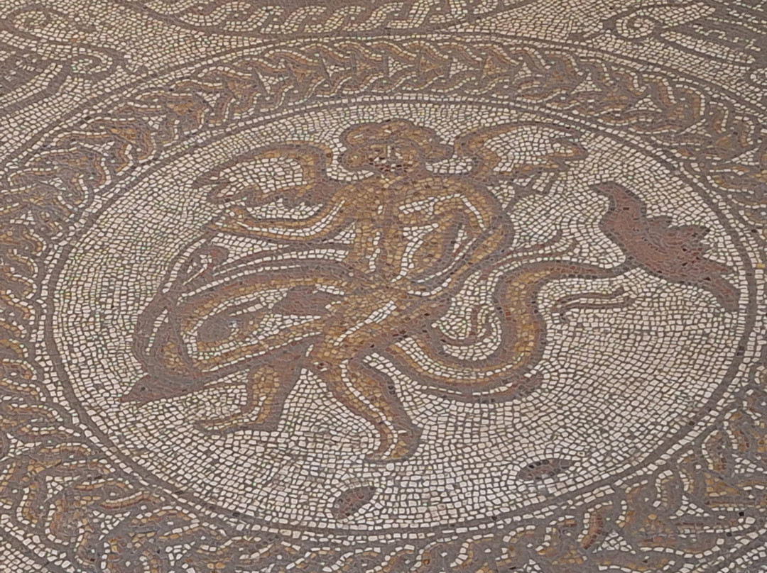 Fishbourne Roman Palace & Gardens-奇切斯特必去景点