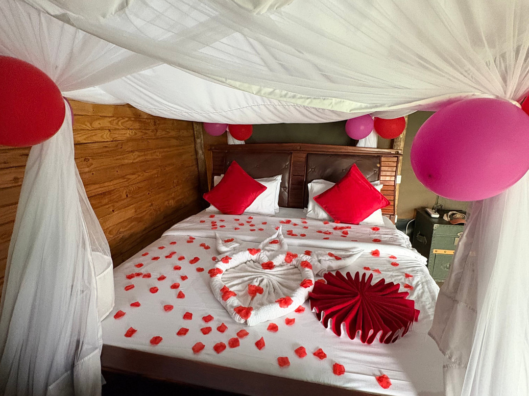 East Safari Tours-阿鲁沙必去景点