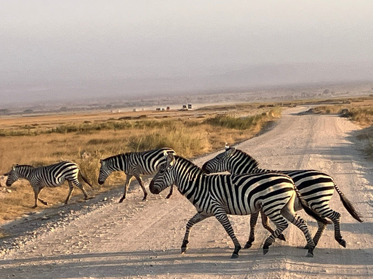 Wild Plus Escapades-马林地必去景点