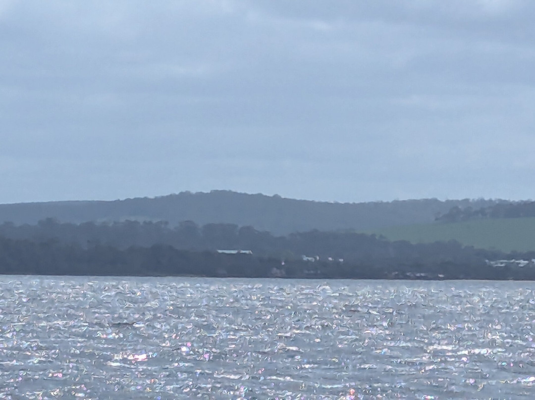 Wow Wilderness Ecocruises-沃泊尔必去景点