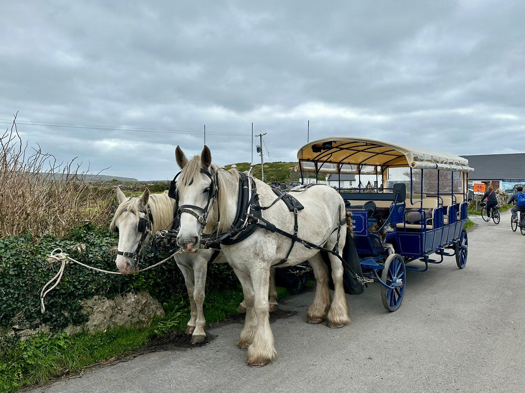 Thomas Faherty Tours-Inishmore必去景点