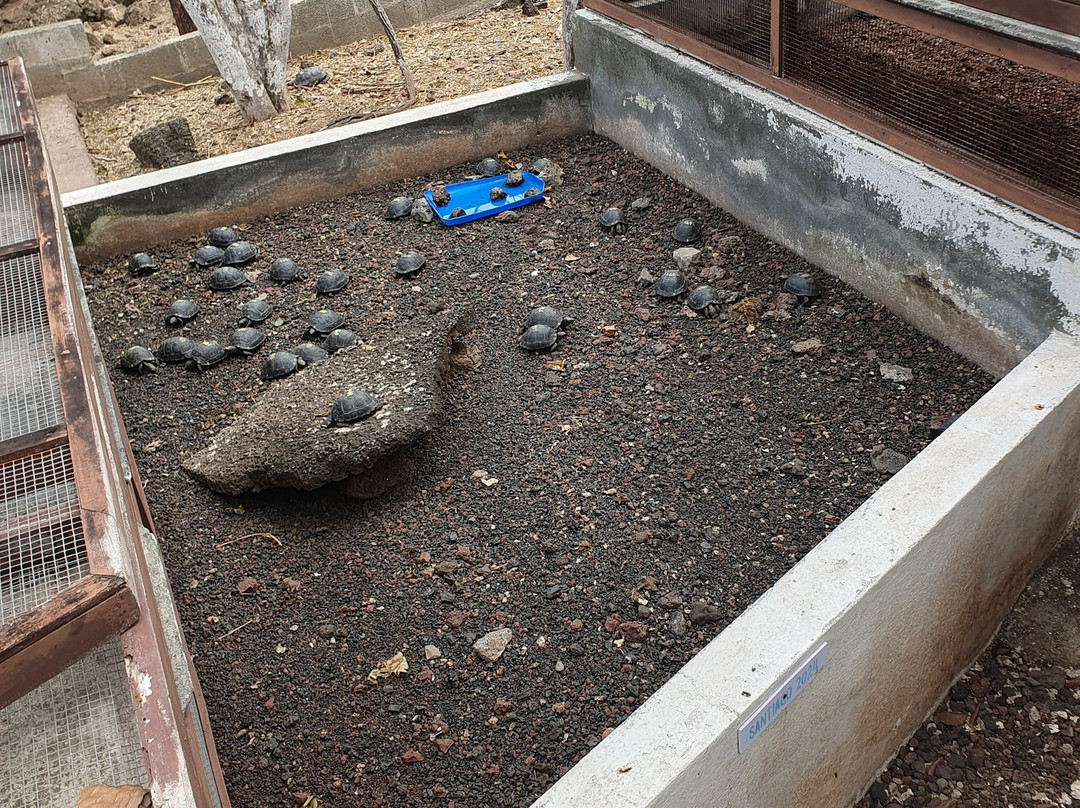 Estación Científica Charles Darwin-阿约拉港必去景点